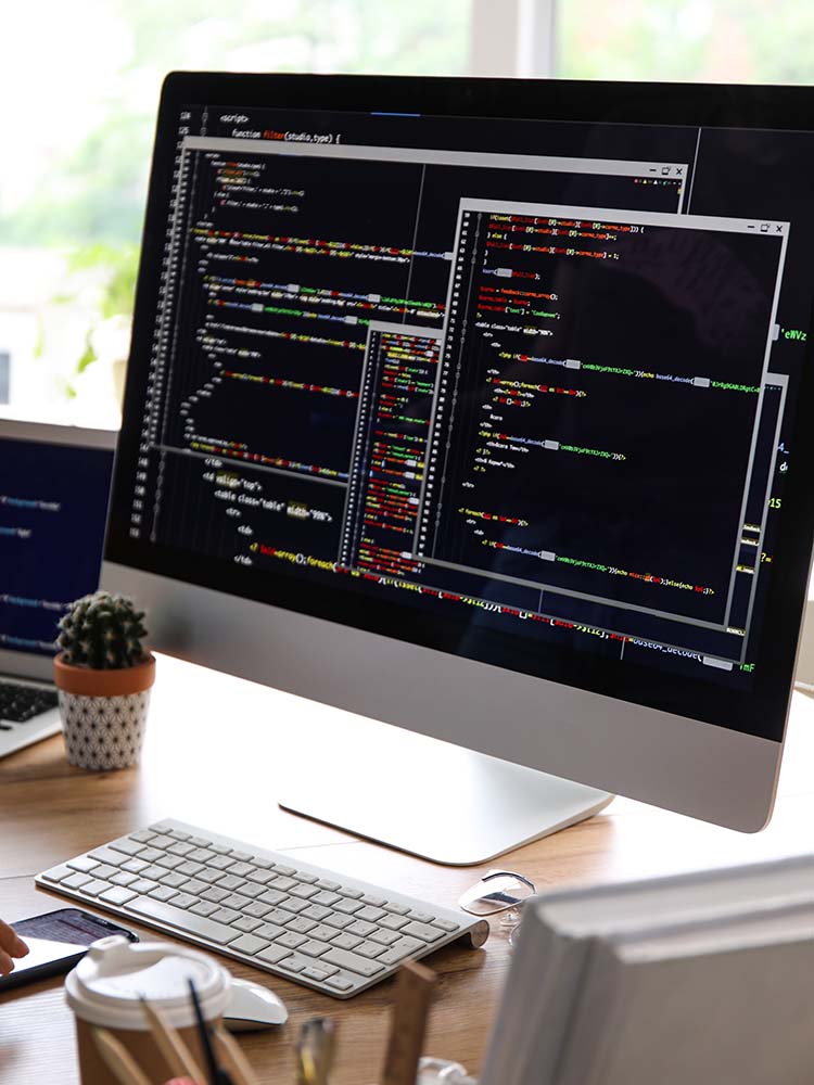 Computer programming screen